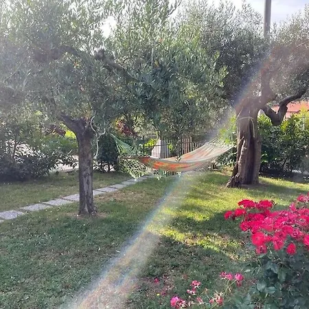 La Dimora Delle Rose Apartment Passignano sul Trasimeno Exterior photo