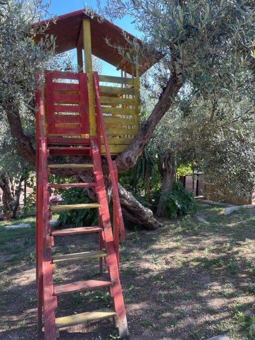 La Dimora Delle Rose Apartment Passignano sul Trasimeno