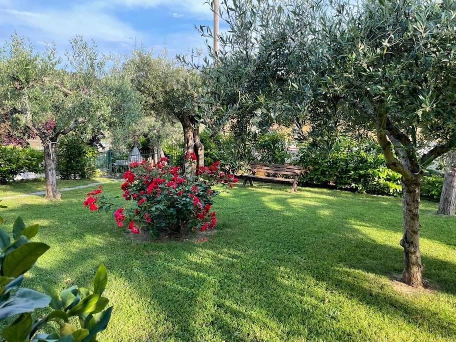La Dimora Delle Rose Apartment